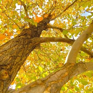 Meet your Posher, Annika